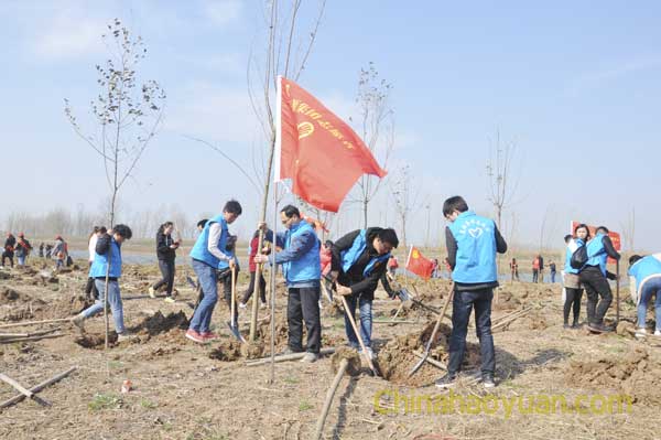 6731顶级游戏·(中国区)官方网站