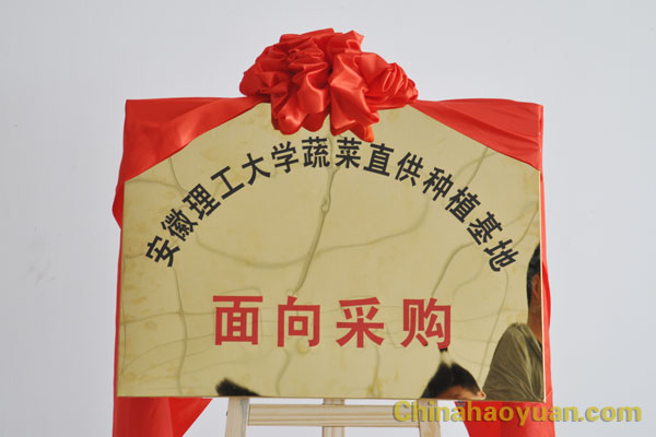 6731顶级游戏·(中国区)官方网站