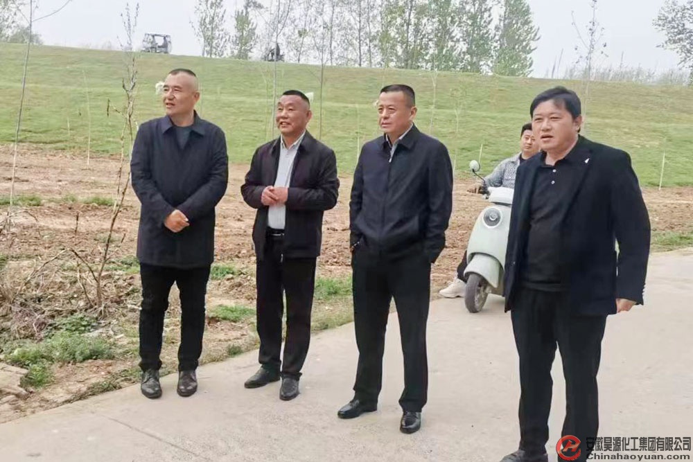 6731顶级游戏·(中国区)官方网站