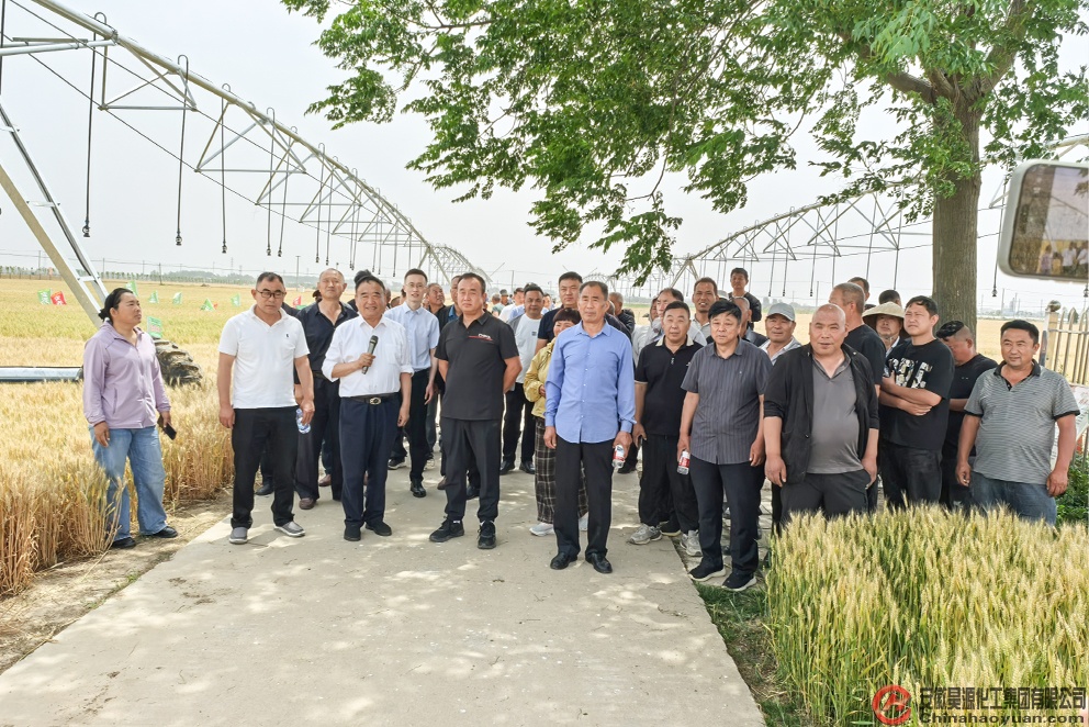 6731顶级游戏·(中国区)官方网站