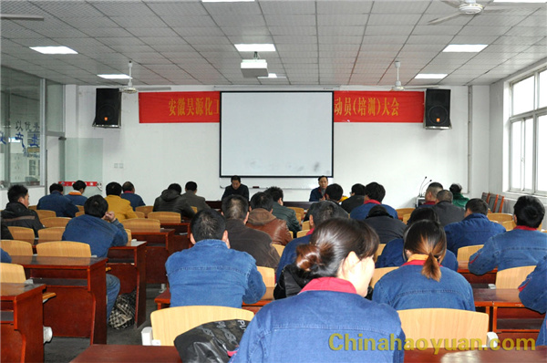 6731顶级游戏·(中国区)官方网站