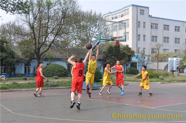 6731顶级游戏·(中国区)官方网站