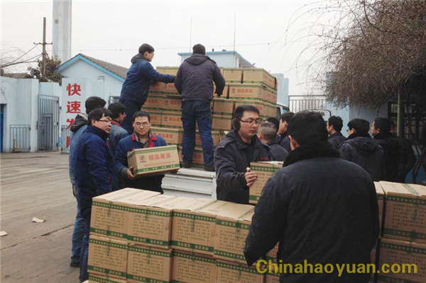 6731顶级游戏·(中国区)官方网站