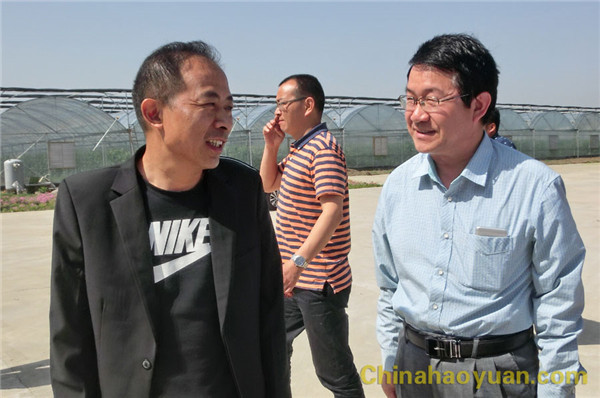 6731顶级游戏·(中国区)官方网站