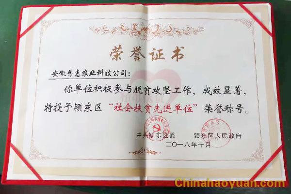 6731顶级游戏·(中国区)官方网站