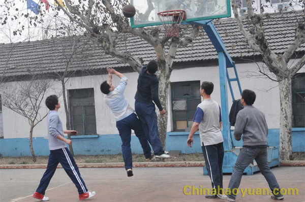 6731顶级游戏·(中国区)官方网站